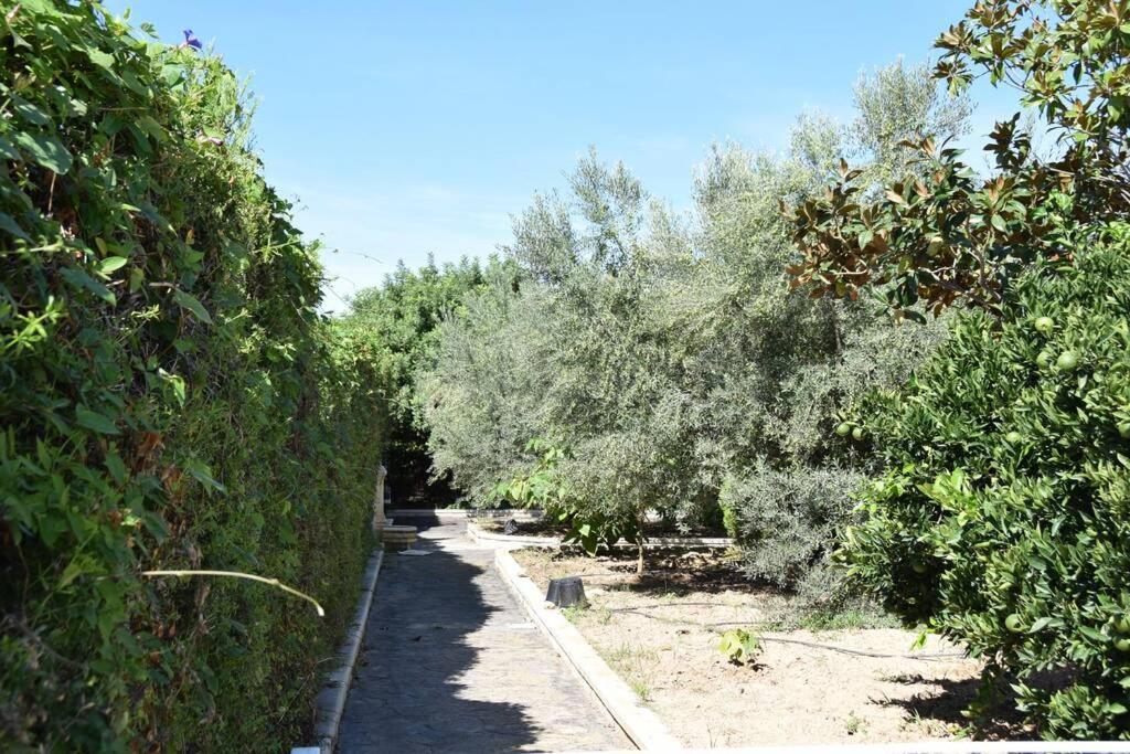 Casa Rural " La Bruja " Segorbe Bagian luar foto